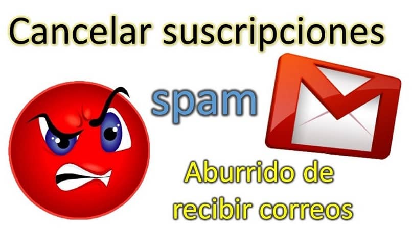 turscar gmail