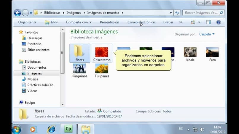 el explorador de Windows te permite organizar todos tus archivos