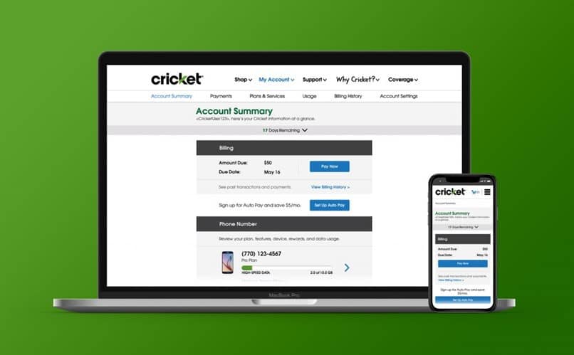 interfaz de cricket en PC y teléfono móvil