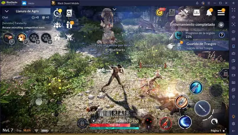 Vista de imagen del juego móvil balck desert en escena de ataque