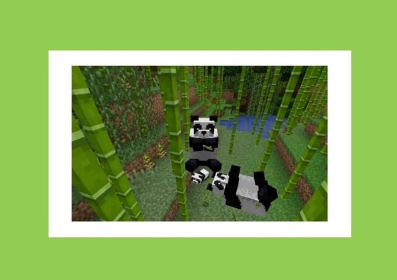 Pandas en hábitat de bambú en Minecraft