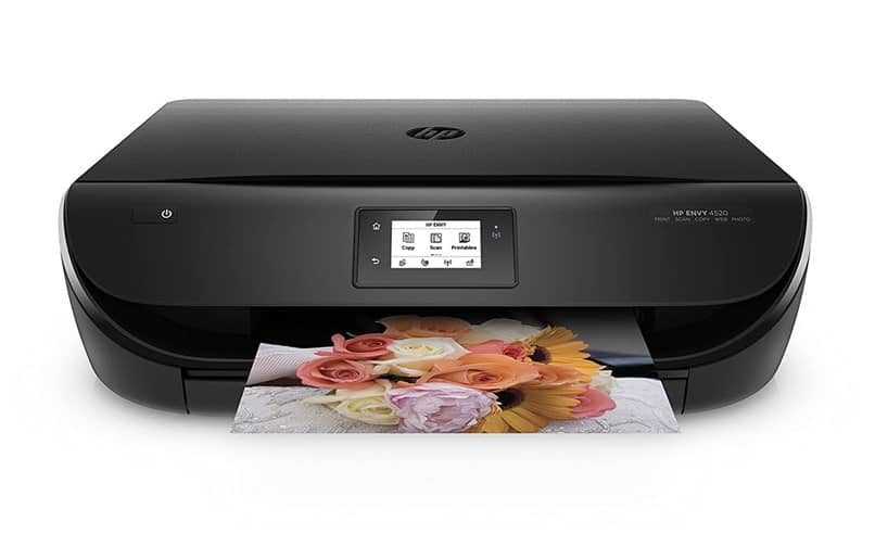 imprimir imagen de flores