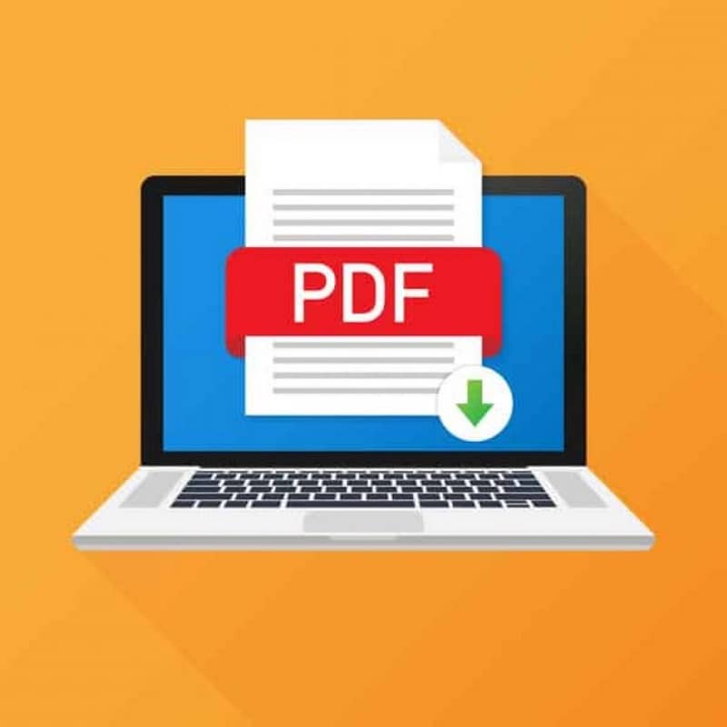 computadora pdf