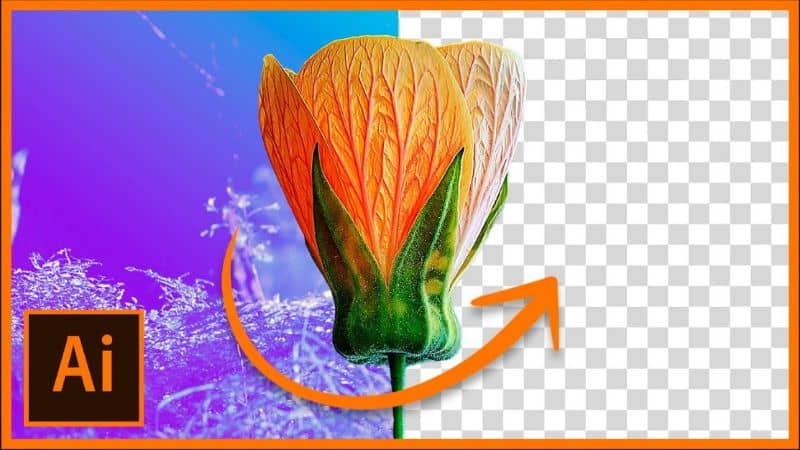 Elimina el fondo de una imagen en Adobe Illustrator CC.