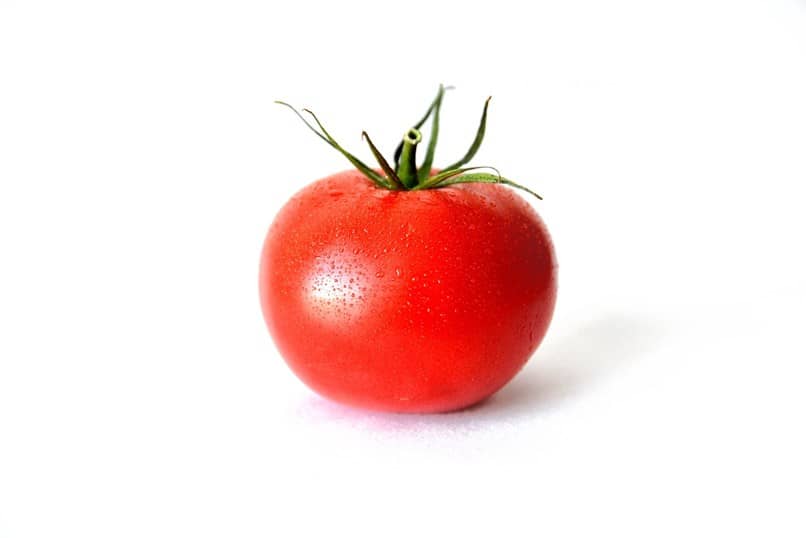 tomate fondo blanco