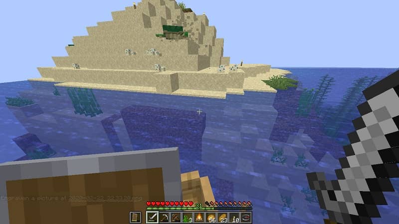 Biomasa oceánica en Minecraft