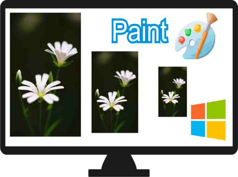 cambiar la imagen con pintura en windows