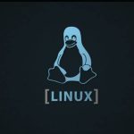 ¿Cuáles son todas las versiones del sistema Linux y sus características?