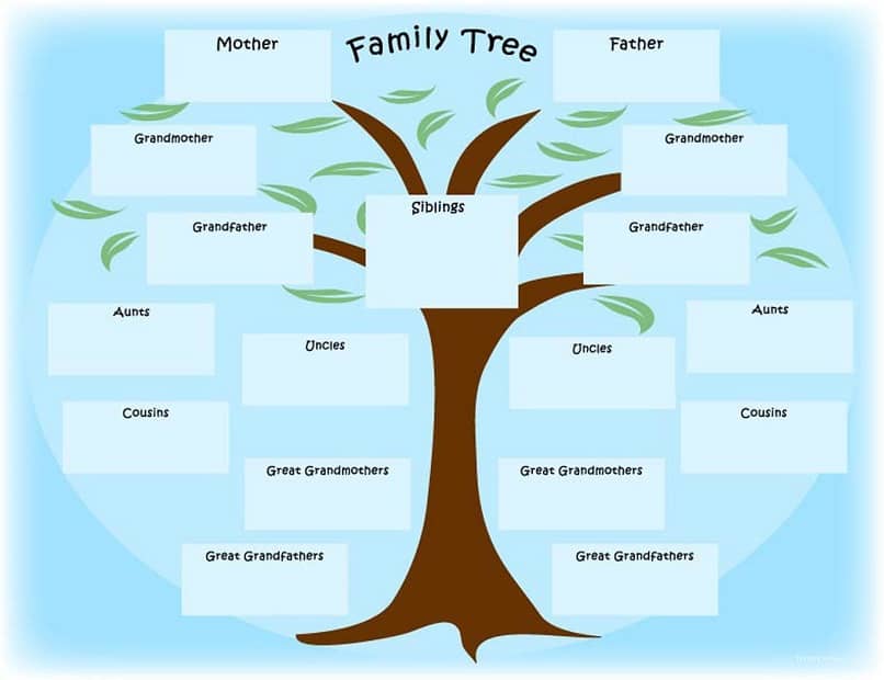 ¿Cómo hacer un árbol genealógico con plantillas gratuitas?  - Fácil y rápido (ejemplo)