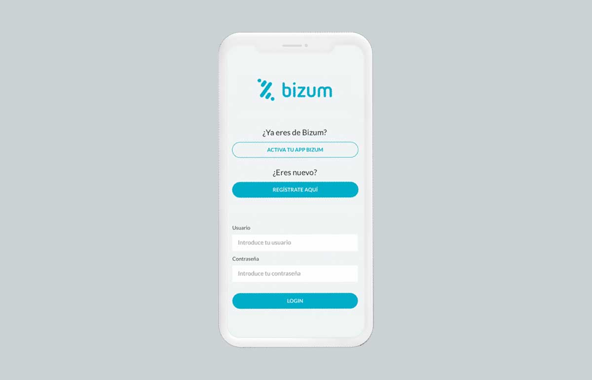 18 preguntas y respuestas para Bizum en 2021