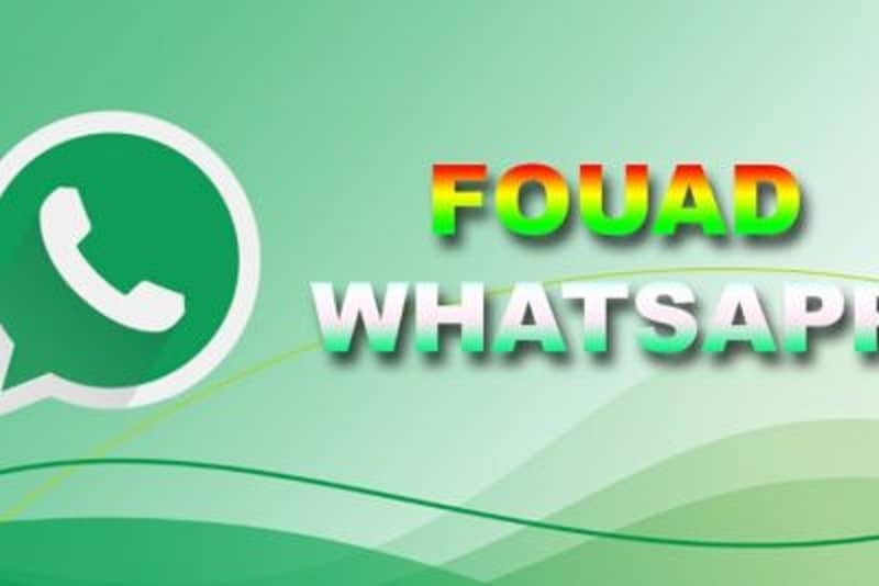 Fouad WhatsApp Descargar la última versión para Android ¡Muy fácil!