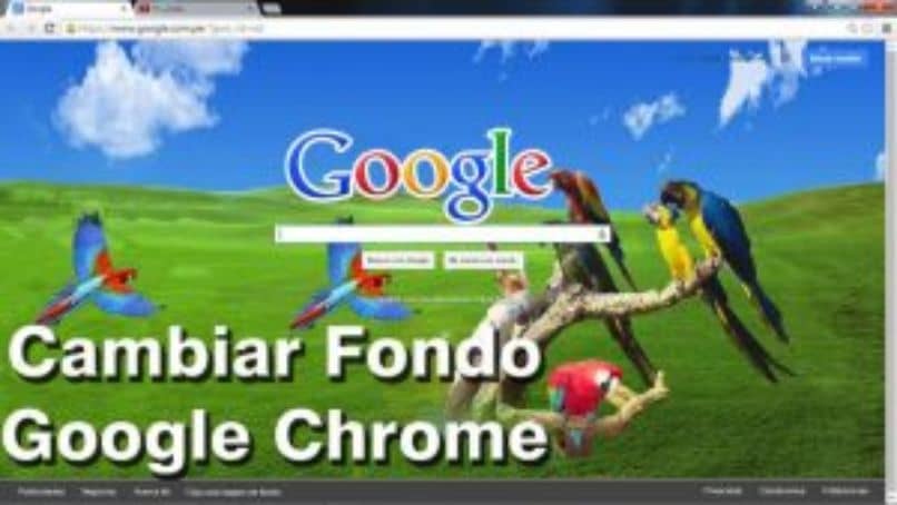 Cómo cambiar o personalizar la imagen de fondo en Google Chrome