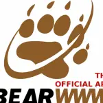 ¿Qué es Bearwww y cómo funciona?  Regístrese en la aplicación de la comunidad gay