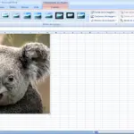Cómo insertar una imagen en Excel en una celda o fórmula (ejemplo)