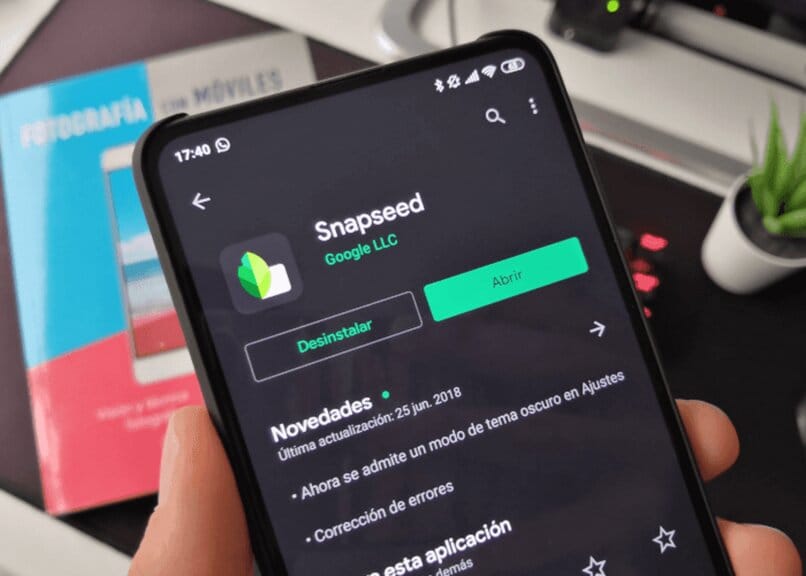 Cómo descargar y usar Snapseed en mi teléfono móvil o PC - Android, iPhone y Windows