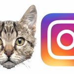 ¿Cómo hacer un mosaico para tu perfil de Instagram?  - Imágenes compartidas
