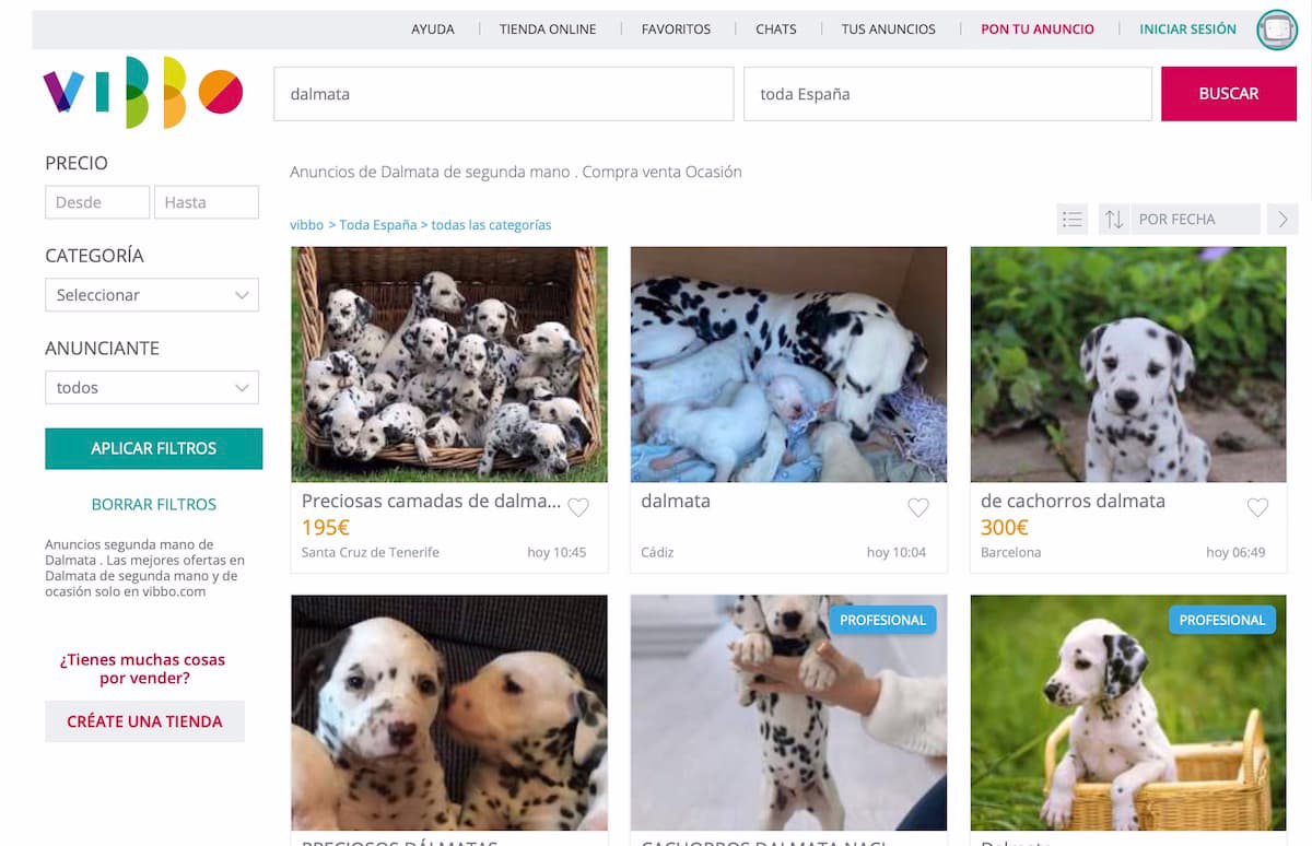 ¿Es legal vender perros en línea en Vibbo o Wallapop?