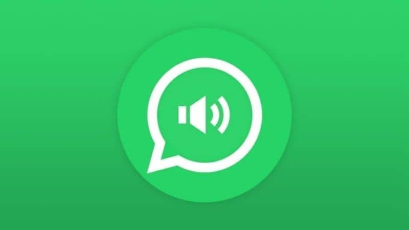 ¡Dónde guardar los audios de WhatsApp que recibí es muy fácil!